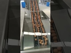 Verticaal gebroken eierenbreker