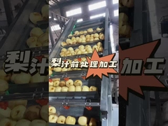 Hoe peersap voorverwerking uit te voeren