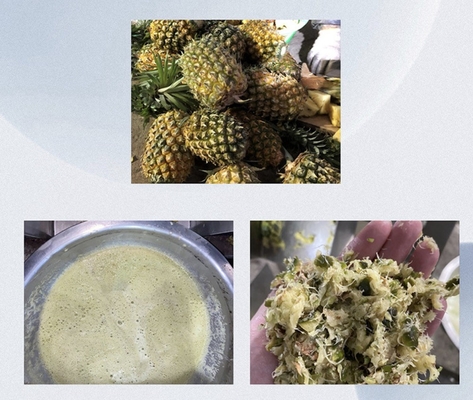 Ananas sapmachine door schroefdruk industrieel bedrijf