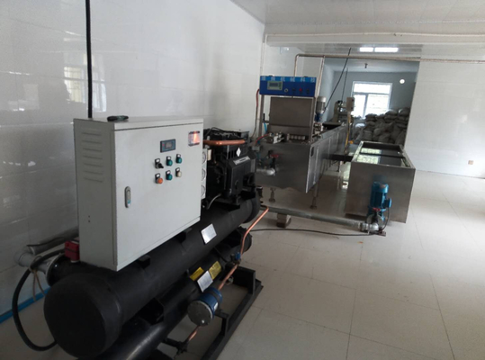 500-30000L/H aangepaste ijsproductie-installatie Complete zachte/harde ijsverwerkingslijn ijsmachine met PLC