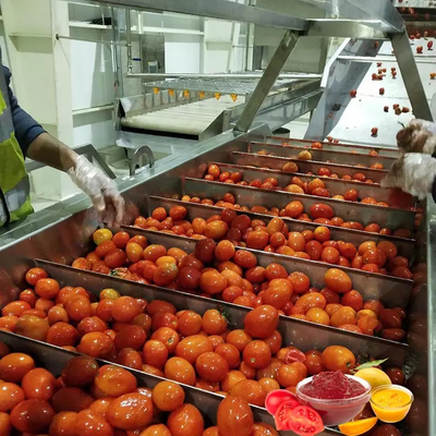 aangepast cpmplete Tomatenverwerkingslijn In China tomatensaus verwerkingsmachine hoogwaardige apparatuur voor tomatensap/saus/jam