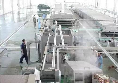 High Performance Customized Ginger Processing Line Wortel/Gember/Beta Productie Plant Machine voor de groentenindustrie met PLC