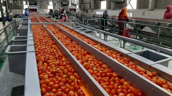 Hot Sale Complete Customized Tomato Production Plant Nieuwe Omate/Tomato Juice/Sous/Pulp Verwerkingsmachine Met PLC SUS304/316