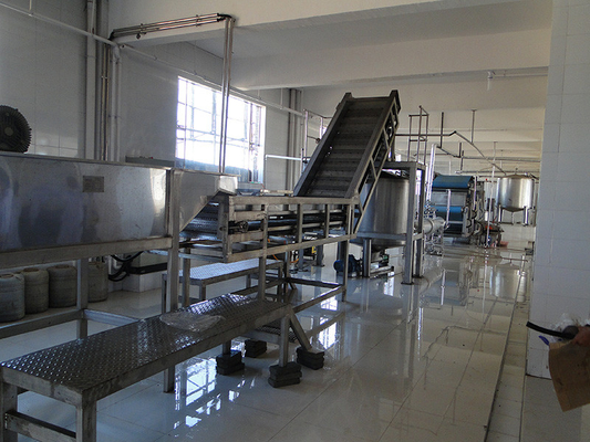 Complete kale verwerkingslijn Seldery/Kale/Cucumber Production Plant Op maat gemaakte apparatuur voor de groenteindustrie