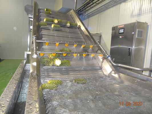 Hoogwaardige complete ananasverwerkingslijn Aanpasbare ananasproductie-installatie machine met PLC voor de fruitindustrie