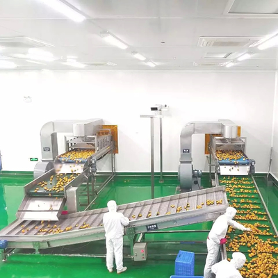 Volledige automatische verwerkingslijn voor ananas en mangosap