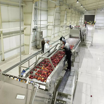 Turnkey project Nieuwe 500-20000kg/H Apple/Pear Juice Machine Complete Apple Production Plant Apple Juice Processing Line Apple Pulp