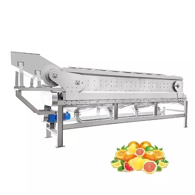 Alle automatische aanpasbare sinaasappelsapmachine Nieuwe sapverwerkingsmachine Complete fruitverwerkingsmachine Mandarijnpulp