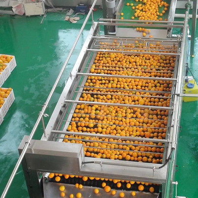 Alle automatische aanpasbare sinaasappelsapmachine Nieuwe sapverwerkingsmachine Complete fruitverwerkingsmachine Mandarijnpulp