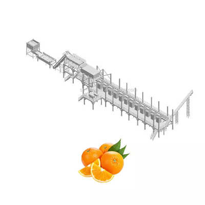 Alle automatische aanpasbare sinaasappelsapmachine Nieuwe sapverwerkingsmachine Complete fruitverwerkingsmachine Mandarijnpulp