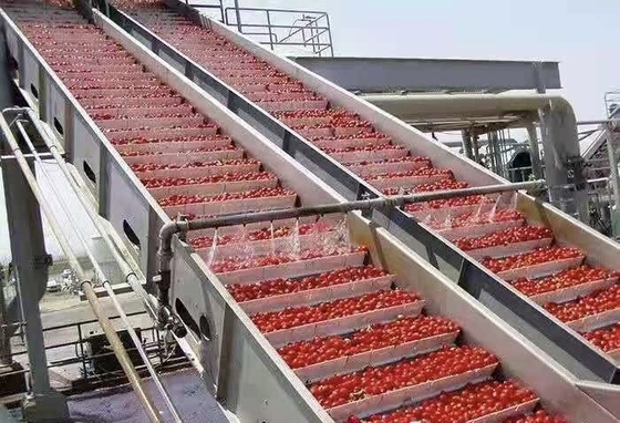 High Performance Customized Blueberry Processing Line Blueberry/Strawberry/Raspberry Production Plant Blueberry Juice/Pulp/Jam Machine met PLC