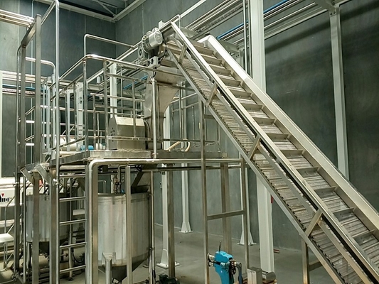 High Performance Customized Blueberry Processing Line Blueberry/Strawberry/Raspberry Production Plant Blueberry Juice/Pulp/Jam Machine met PLC
