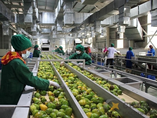 Machine voor de verwerking van hoogwaardig aangepast mango sap