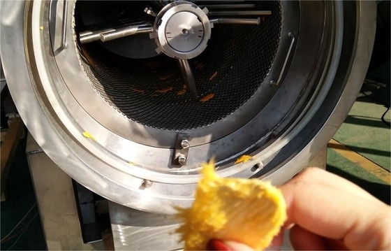 Machine voor de verwerking van hoogwaardig aangepast mango sap