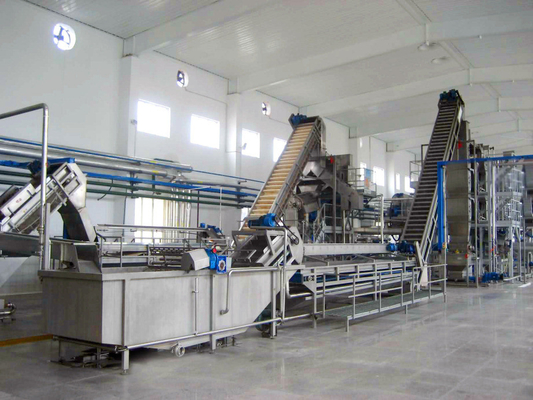 High Performance Customized Blueberry Processing Line Blueberry/Strawberry/Raspberry Production Plant Blueberry Juice/Pulp/Jam Machine met PLC