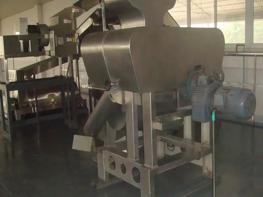 SUS304/316 Volledige pitaya-verwerkingslijn Op maat gemaakte passiefruit/pitaya/guava-productie-installatieapparatuur met PLC voor fruitfabriek