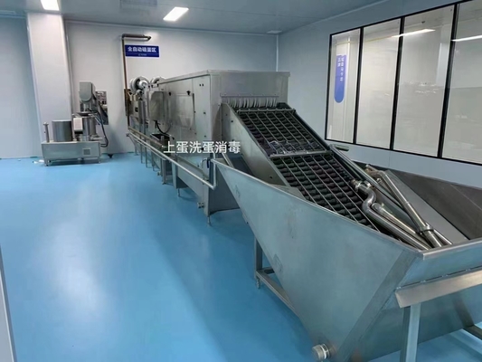 Plant voor het verwerken van vloeibare eieren met breek- en scheidsmachines voor het vullen met pasteurisatoren