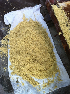 Industriële extractor voor gembersaft door het verpletteren en het zuigen met een drukregulerend hoofd