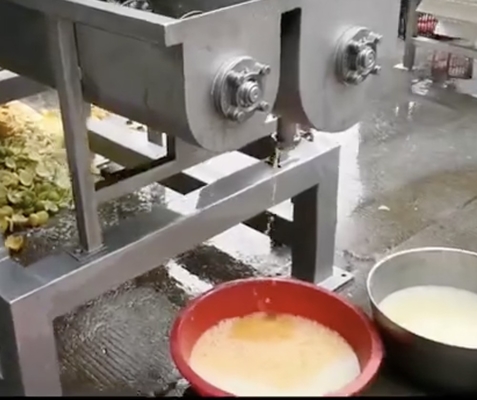 Ananas sapmachine door schroefdruk industrieel bedrijf