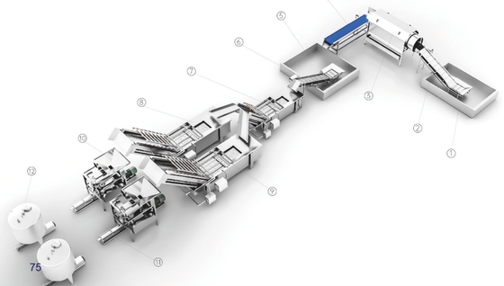 5tph Acai Berry Pulp Processing Plant / Berry Pulp Processing Machine Factory