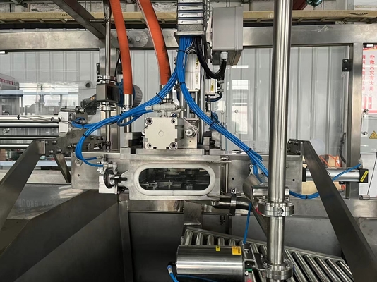 Volledig automatische aseptische BIB-vuller voor 2L/10L/20L continue zak in doos Saus/melk/olie vulmachine met PLC