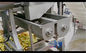 De Ananasmaalmachine die van 1.5T/H SUS304 Juicing-Machine verpulveren
