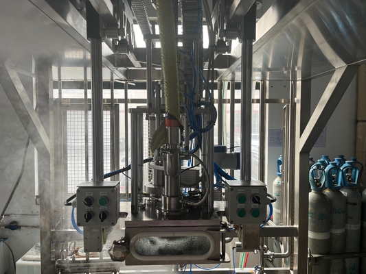 Hoogwaardige dubbelkopvulmachine op maat 20-1000l BID zak in trommel aseptische vulstof ton doos vulstof voor zuivelproducten