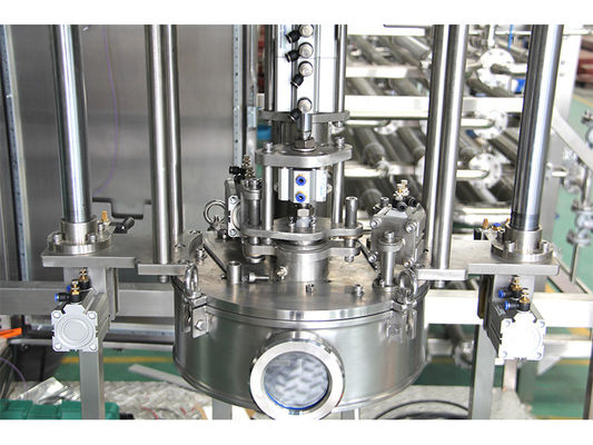 Kosten-efficiëntie Een- of dubbelkop 1-220L BID aseptische vulstof voor ketchup/fruitsap/melkproductie-installatie Sus304