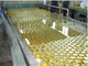 500kg/H beweeg de Vuller van de het Glasfles van Gebraden gerechtchili sauce production line with