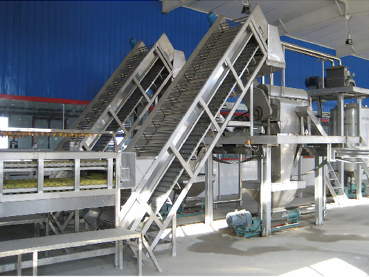 SUS304/316 Volledige pitaya-verwerkingslijn Op maat gemaakte passiefruit/pitaya/guava-productie-installatieapparatuur met PLC voor fruitfabriek