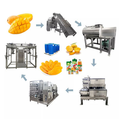 One-Stop Service Customized 1000-30000l/H Mango Processing Line Mango sap/sauce/jam machine met PLC mango pulp apparatuur