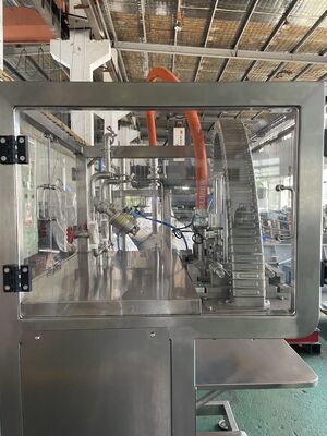 Automatische aseptische zak vulmachine 1-30 liter water sap olie vloeibare vulmachine BIB zak in doos zak vulmachine Sus 304